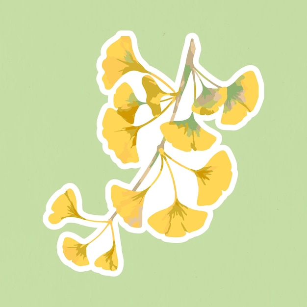 Gevectoriseerde tak van gele ginkgo-sticker met een witte rand