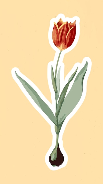 Gratis vector gevectoriseerde tulp bloem sticker overlay met een witte rand ontwerpelement