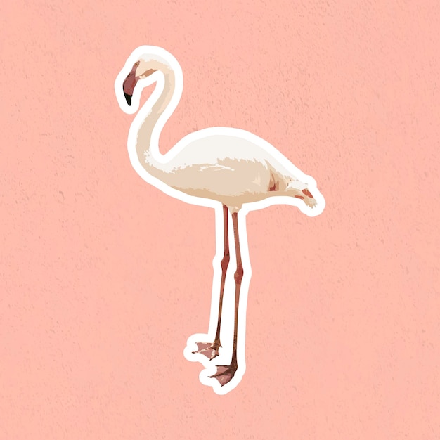 Gevectoriseerde witte flamingo vogel sticker met witte rand