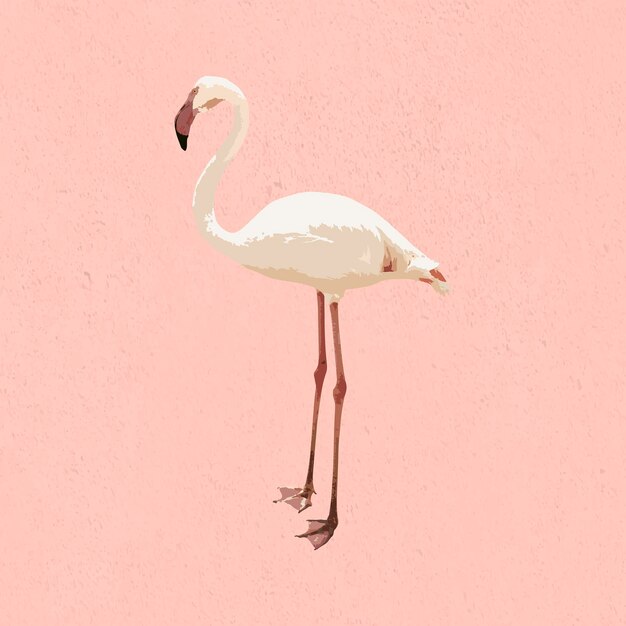 Gevectoriseerde witte flamingovogel op een roze achtergrond