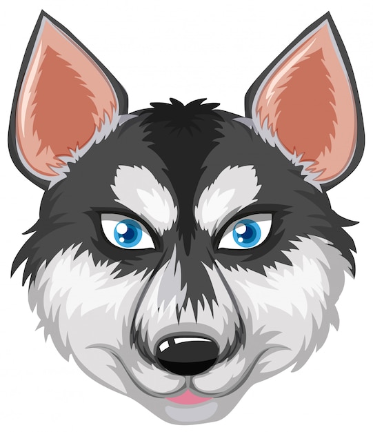 Gratis vector gezicht van siberische husky