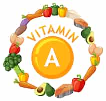 Gratis vector gezonde voedingsmiddelen die vitamine a bevatten voor een evenwichtige voeding