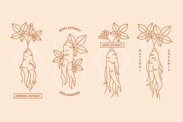 Gratis vector ginseng jar label collectie