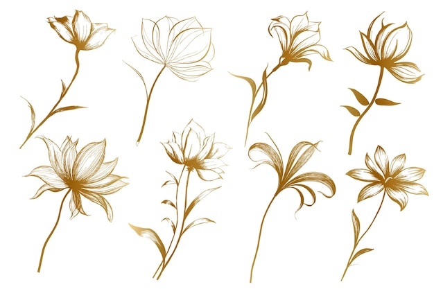 Gratis vector gouden handgetekende minimalistische bloemenbloesemcollectie