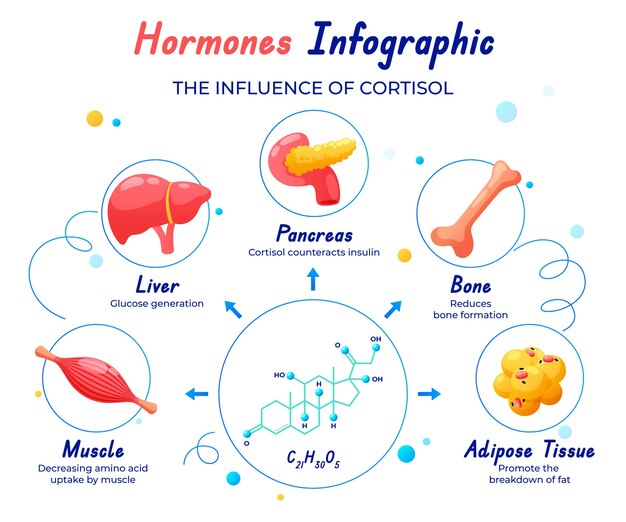 Gradiënt hormonen infografisch ontwerp