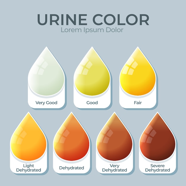 Gratis vector gradiënt urine kleur infographic