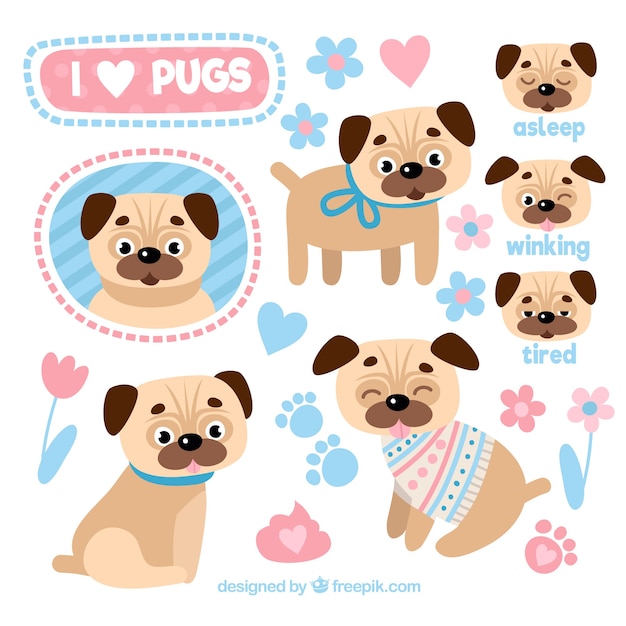 Gratis vector grappige pugs met mooie stijl