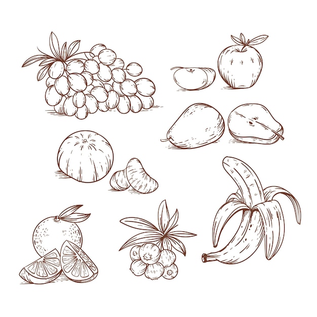 Gravure van handgetekende fruit set