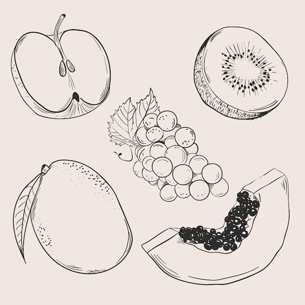 Gravure van handgetekende fruitcollectie