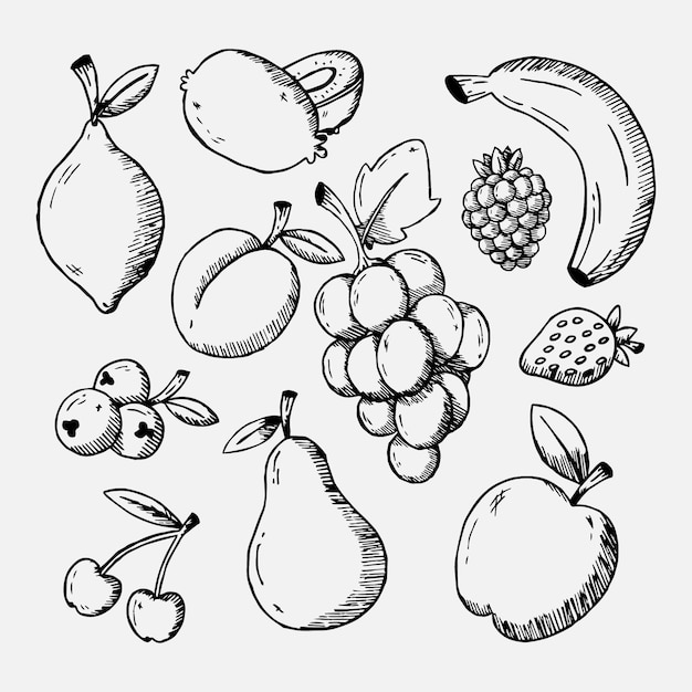 Gravure van handgetekende fruitcollectie