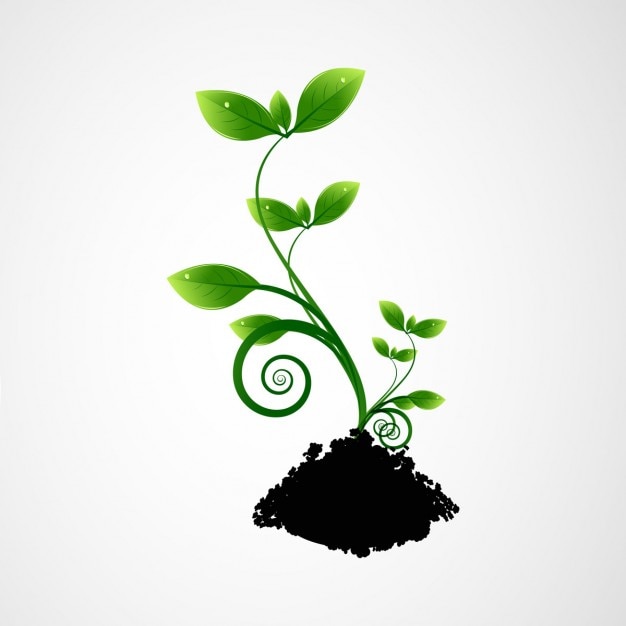 Gratis vector green plant