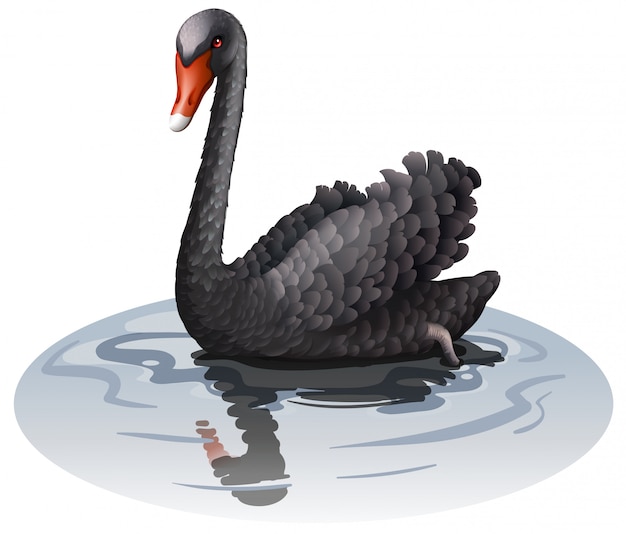 Gratis vector grijze gans op water