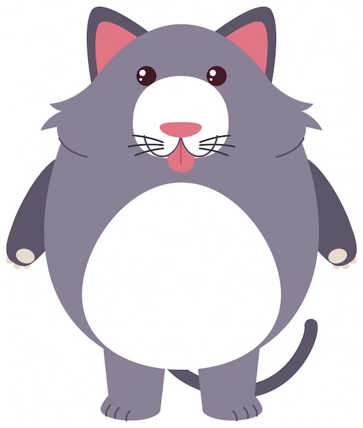 Gratis vector grijze kat met domme gezicht