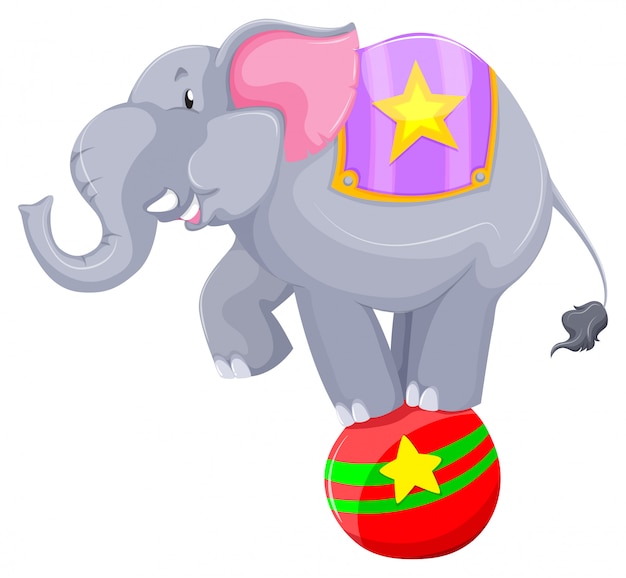 Gratis vector grijze olifant balanceren op de bal