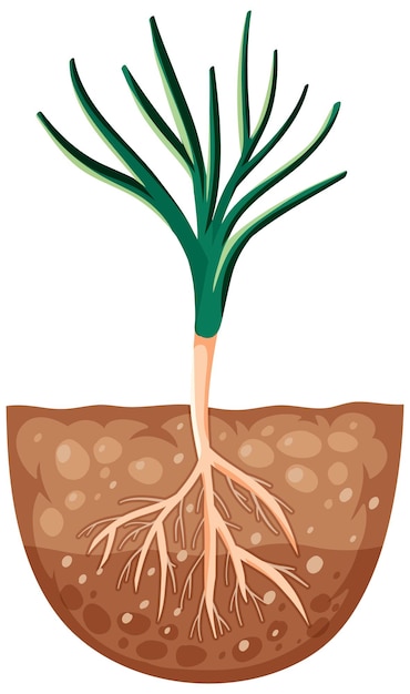 Gratis vector groeiende plant met wortels in aarde