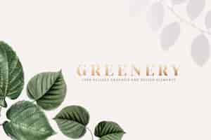 Gratis vector groen behang