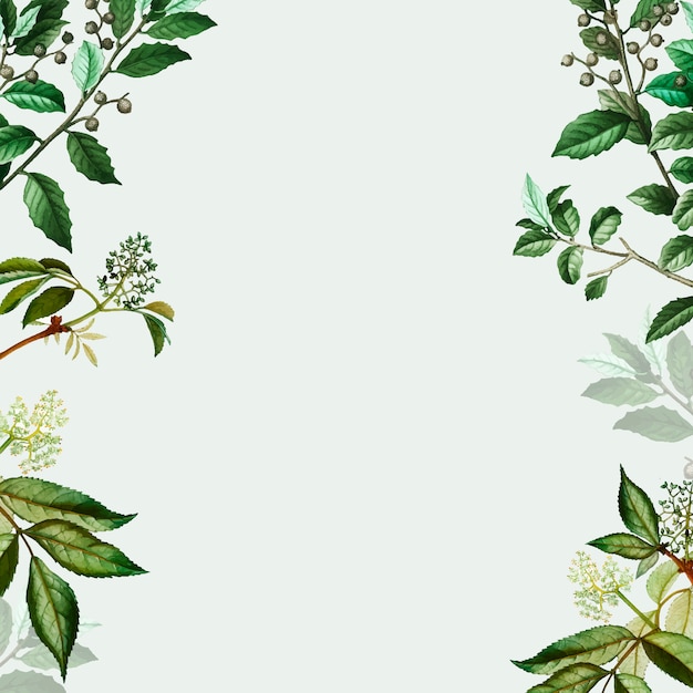 Gratis vector groen botanisch frame