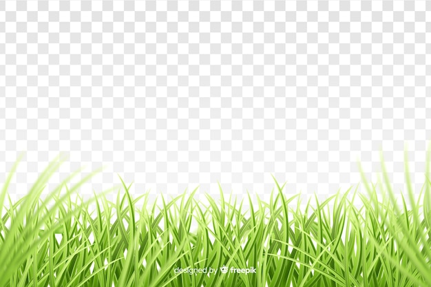 Groen gras grens realistische ontwerp