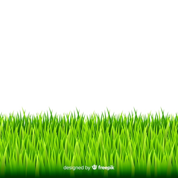 Gratis vector groen gras grens realistische ontwerp