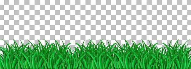 groen gras op een doorzichtige achtergrond