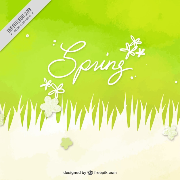 Gratis vector groene aquarel achtergrond met gras