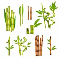 Gratis vector groene bamboe decoratieve elementen