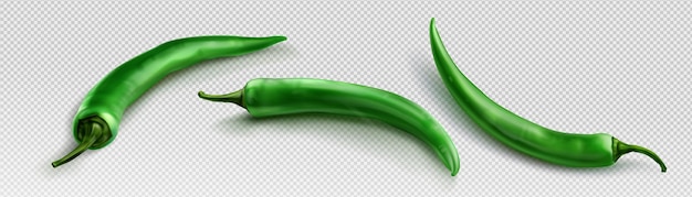 Gratis vector groene chili peper png realistische 3d-vector