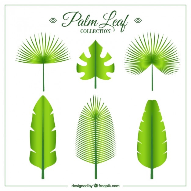 Gratis vector groene exotische bladeren in plat design