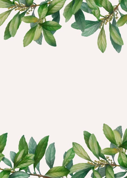 Gratis vector groene gebladerte ontworpen banner