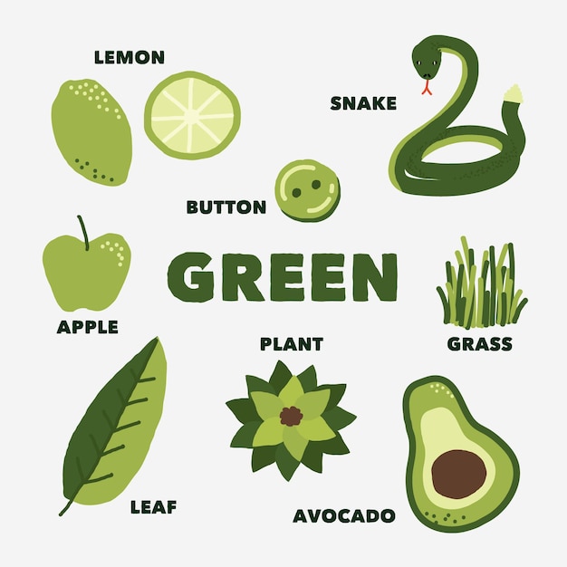 Gratis vector groene kleur met woordenschat in het engels