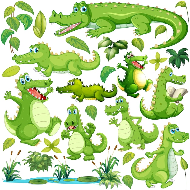 Groene krokodil in verschillende acties