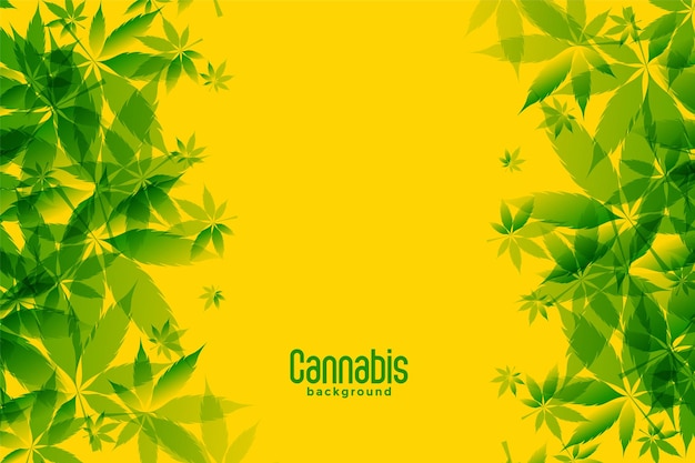 Groene marihuanabladeren op gele achtergrond Gratis Vector