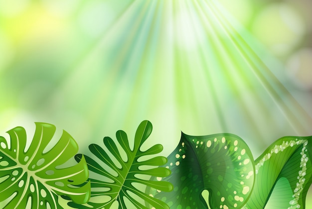 Gratis vector groene natuur achtergrond