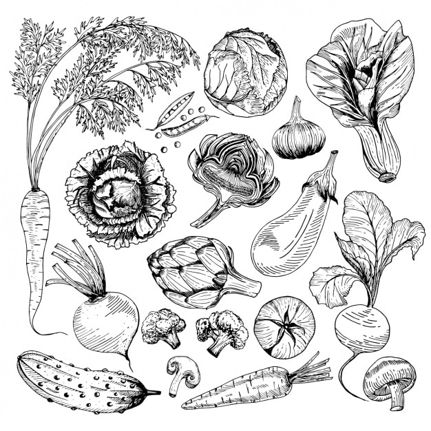Gratis Vector groenten ontwerpt collectie