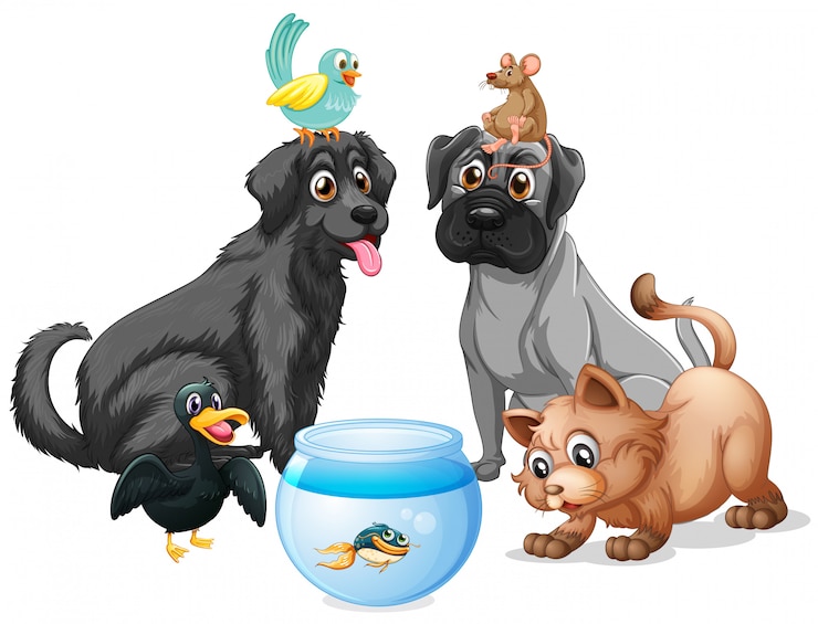 Gratis Vector groep schattige dieren geïsoleerd op een witte achtergrond