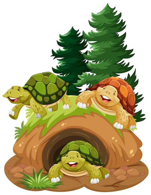 Groep schildpadden in hol