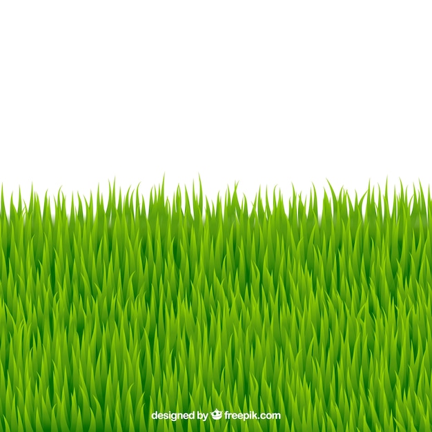Gratis vector grote achtergrond van groene gras