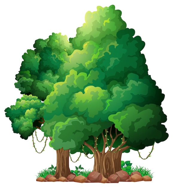 Gratis vector grote boom geïsoleerde cartoon