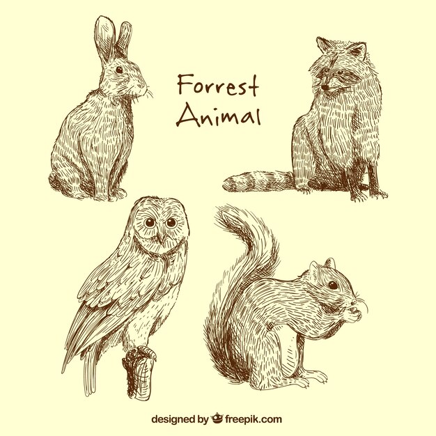 Grote collectie van de dieren in het bos