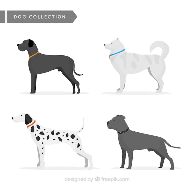 Gratis vector grote collectie van profiel honden