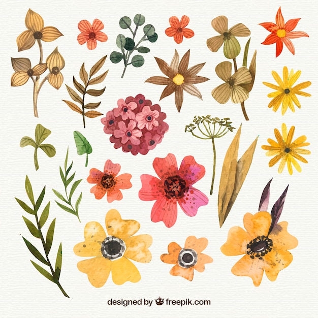 Gratis vector grote reeks bloemen