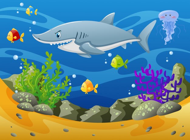 Haai en andere zeedieren onder water