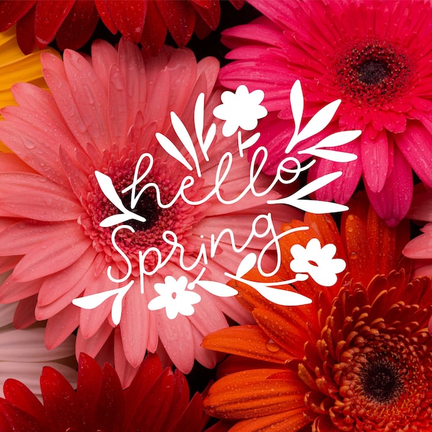 Hallo lente belettering met foto concept