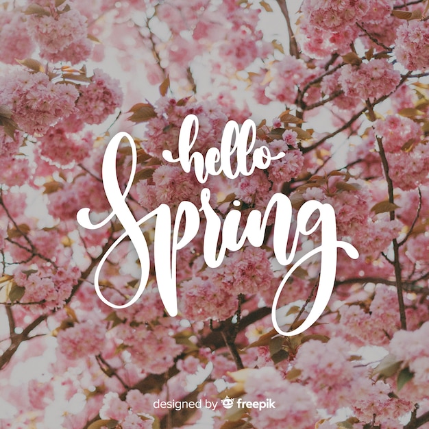 Gratis vector hallo lente belettering met foto