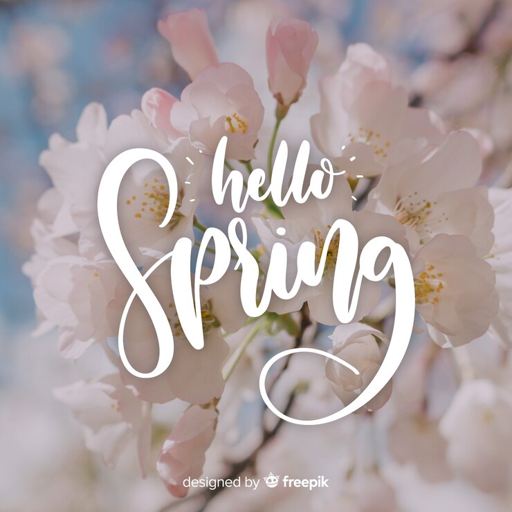 Gratis Vector hallo lente belettering met foto