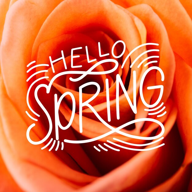 Gratis vector hallo lente belettering met foto