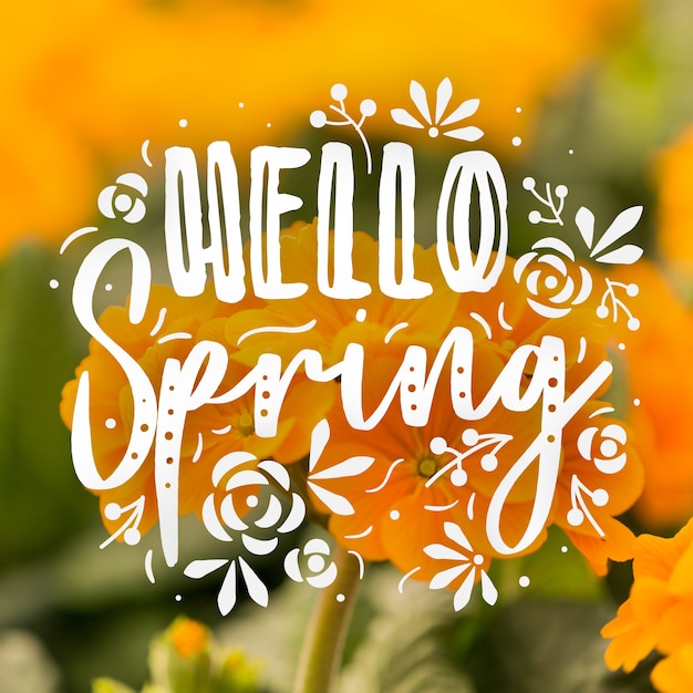 Gratis vector hallo lente belettering met foto