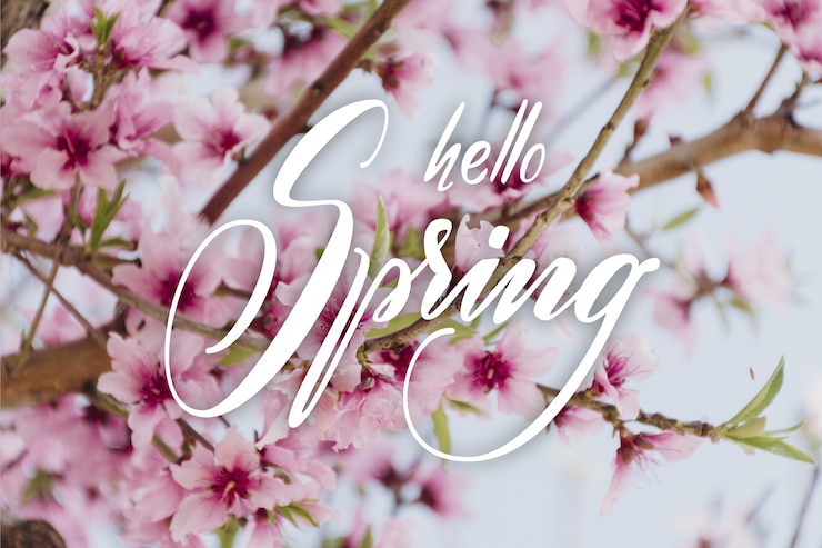 Gratis Vector hallo lente verkoop belettering met foto
