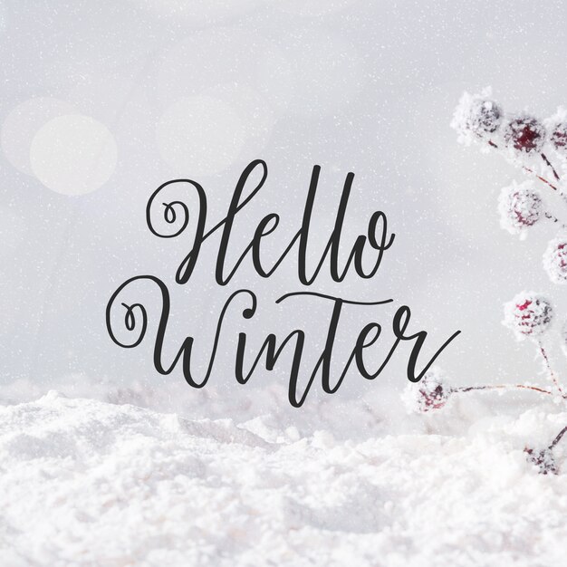 Hallo winter belettering