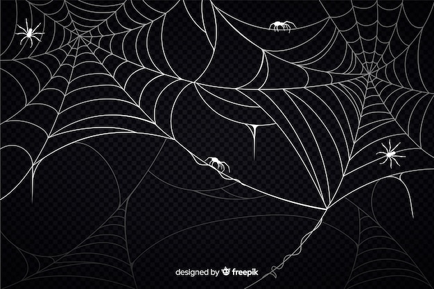 Halloween spinnenweb achtergrond